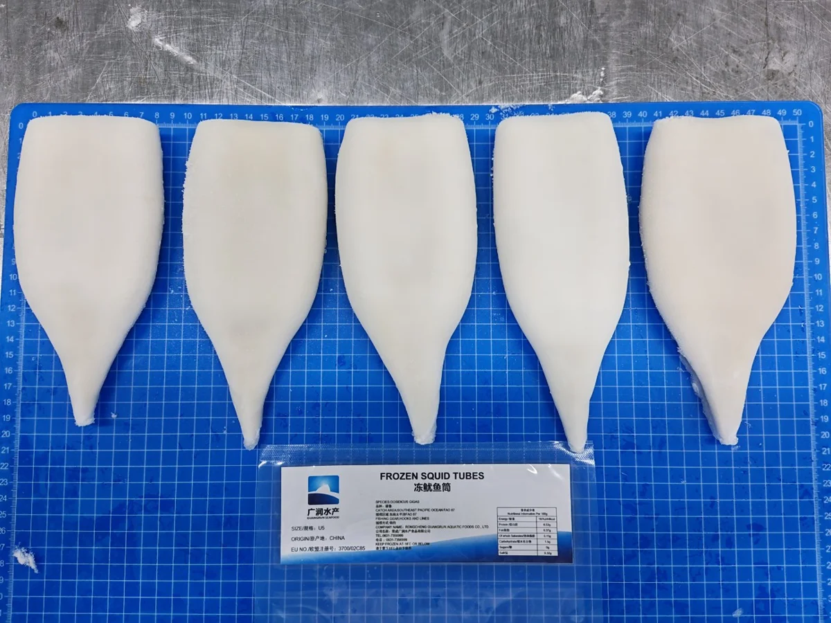 Squid tube samples arranged on a blue surface